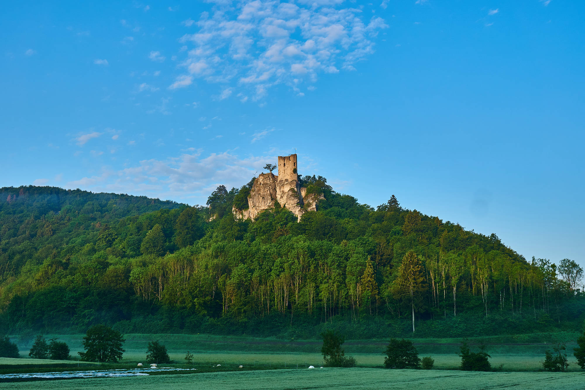 Die Burg Rabenstein im Ailsbachtal